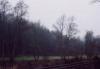 Herbststimmung_ (5)